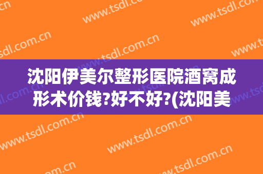 沈阳伊美尔整形医院酒窝成形术价钱?好不好?(沈阳美莱美容医院整形)