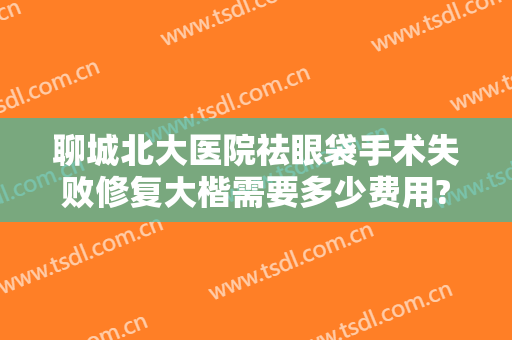 聊城北大医院祛眼袋手术失败修复大楷需要多少费用?贵不贵?