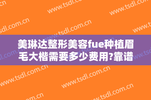 美琳达整形美容fue种植眉毛大楷需要多少费用?靠谱吗?
