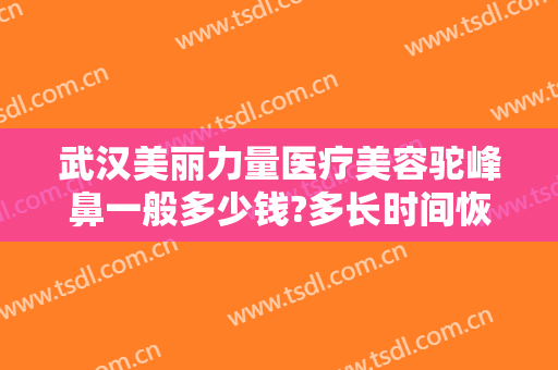 武汉美丽力量医疗美容驼峰鼻一般多少钱?多长时间恢复?