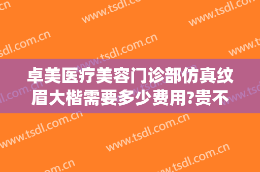 卓美医疗美容门诊部仿真纹眉大楷需要多少费用?贵不贵?(卓艺医疗美容诊所怎么样)