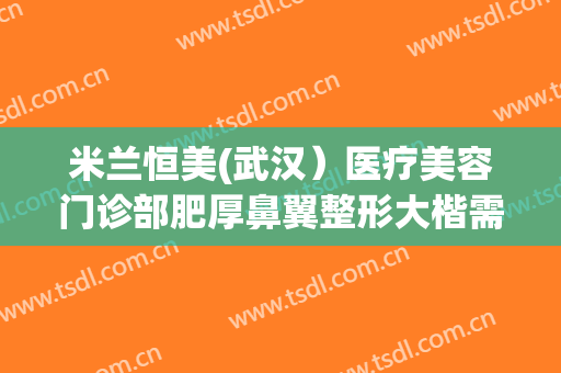 米兰恒美(武汉）医疗美容门诊部肥厚鼻翼整形大楷需要多少钱?效果怎么样?