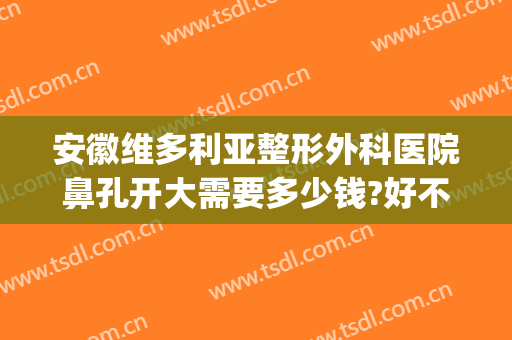 安徽维多利亚整形外科医院鼻孔开大需要多少钱?好不好?(安徽维多利亚整形外科医院怎么样)
