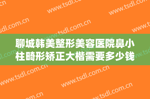 聊城韩美整形美容医院鼻小柱畸形矫正大楷需要多少钱?可靠吗?(聊城市人民医院正畸价格)