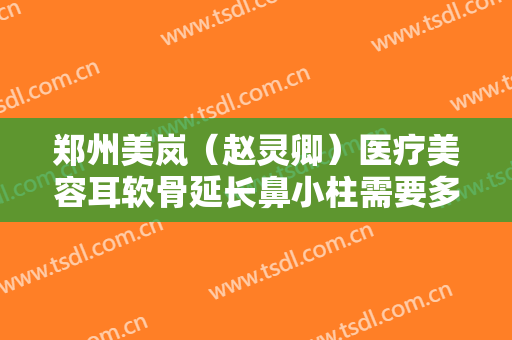 郑州美岚（赵灵卿）医疗美容耳软骨延长鼻小柱需要多少费用?可靠吗?