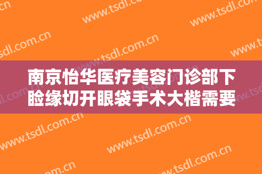南京怡华医疗美容门诊部下睑缘切开眼袋手术大楷需要多少费用?效果怎么样?
