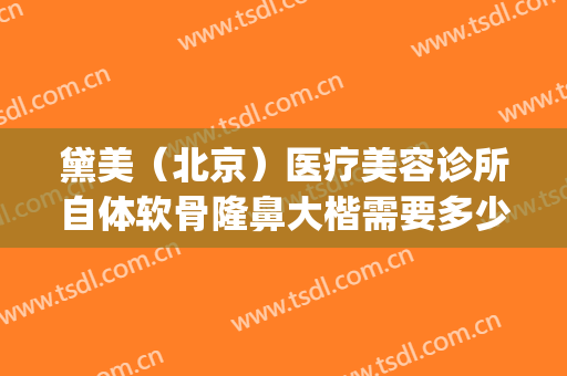 黛美（北京）医疗美容诊所自体软骨隆鼻大楷需要多少钱?怎么样?(自体软骨鼻整形价格)