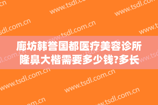 廊坊韩誉国都医疗美容诊所隆鼻大楷需要多少钱?多长时间恢复?(廊坊整容医院有几家)