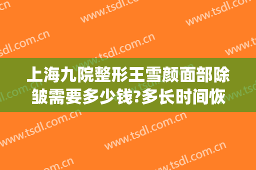 上海九院整形王雪颜面部除皱需要多少钱?多长时间恢复?(上海第九整形美容医院祛斑价格)