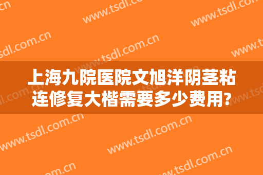上海九院医院文旭洋阴茎粘连修复大楷需要多少费用?效果怎么样?