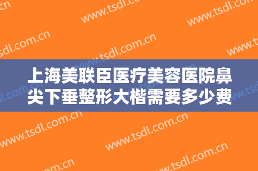 上海美联臣医疗美容医院鼻尖下垂整形大楷需要多少费用?效果怎么样?