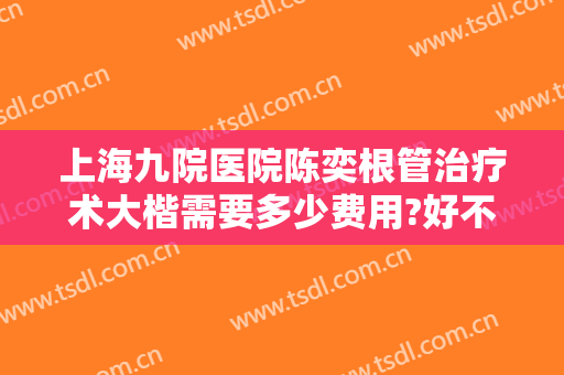 上海九院医院陈奕根管治疗术大楷需要多少费用?好不好?