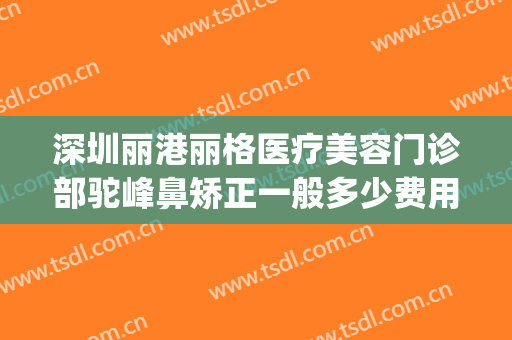 深圳丽港丽格医疗美容门诊部驼峰鼻矫正一般多少费用?可靠吗?(深圳丽港丽格医疗美容门诊部怎么样)