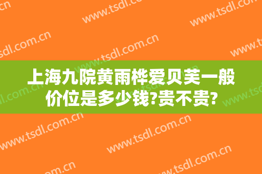上海九院黄雨桦爱贝芙一般价位是多少钱?贵不贵?
