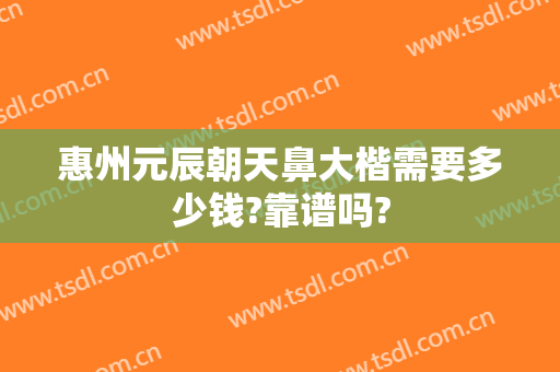 惠州元辰朝天鼻大楷需要多少钱?靠谱吗?