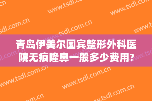 青岛伊美尔国宾整形外科医院无痕隆鼻一般多少费用?好不好?(青岛整形医院伊美尔怎么样)