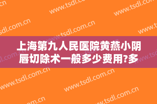 上海第九人民医院黄燕小阴唇切除术一般多少费用?多长时间恢复?