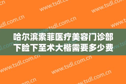 哈尔滨索菲医疗美容门诊部下睑下至术大楷需要多少费用?贵不贵?(索菲美容整形医院哈尔滨)