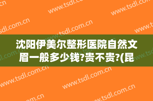 沈阳伊美尔整形医院自然文眉一般多少钱?贵不贵?(昆明伊美尔整形医院)