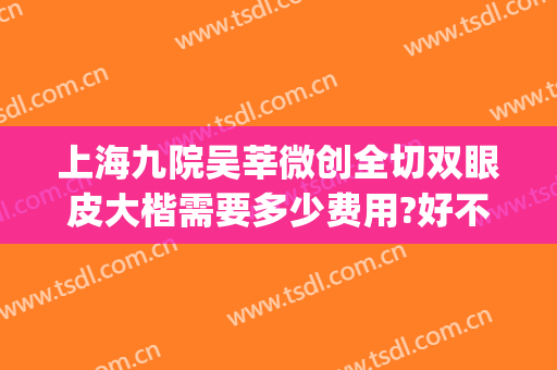 上海九院吴莘微创全切双眼皮大楷需要多少费用?好不好?(上海九院双眼皮费用)