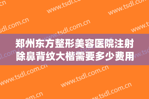 郑州东方整形美容医院注射除鼻背纹大楷需要多少费用?可靠吗?(郑州东方整形美容医院价格表)