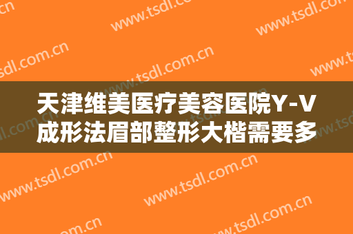 天津维美医疗美容医院Y-V成形法眉部整形大楷需要多少钱?靠谱吗?