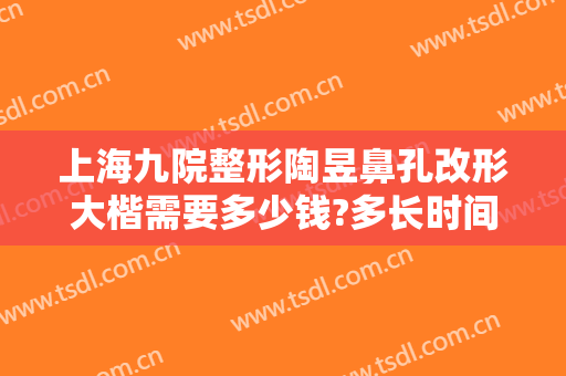 上海九院整形陶昱鼻孔改形大楷需要多少钱?多长时间恢复?