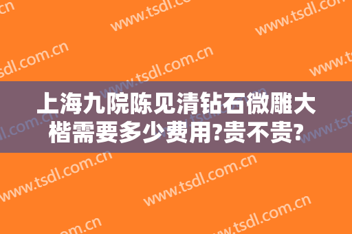 上海九院陈见清钻石微雕大楷需要多少费用?贵不贵?