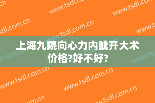 上海九院向心力内眦开大术价格?好不好?