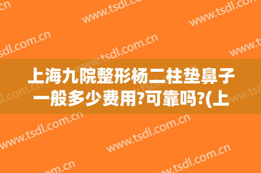 上海九院整形杨二柱垫鼻子一般多少费用?可靠吗?(上海九院垫鼻梁价格)