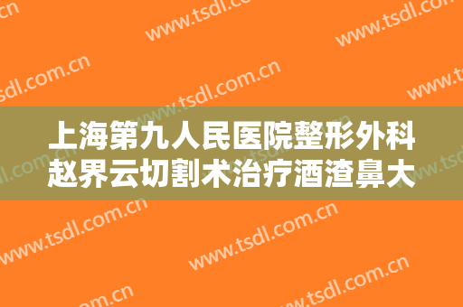 上海第九人民医院整形外科赵界云切割术治疗酒渣鼻大楷需要多少钱?效果怎么样?