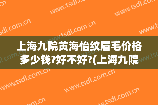 上海九院黄海怡纹眉毛价格多少钱?好不好?(上海九院纹眉价格表)