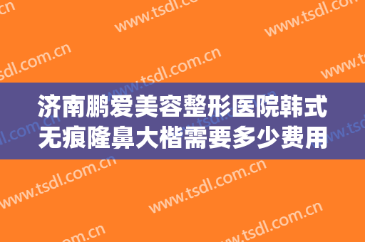 济南鹏爱美容整形医院韩式无痕隆鼻大楷需要多少费用?好不好?(做鼻子整形费用)