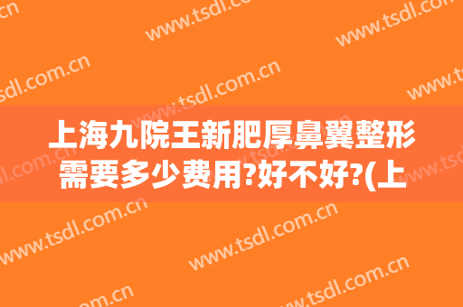 上海九院王新肥厚鼻翼整形需要多少费用?好不好?(上海第九人民医院整形专家排名鼻翼缩小)
