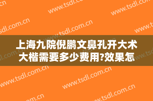 上海九院倪鹏文鼻孔开大术大楷需要多少费用?效果怎么样?