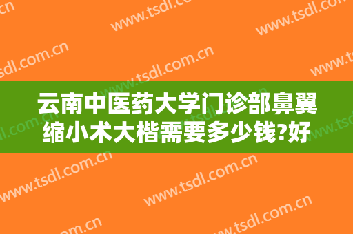 云南中医药大学门诊部鼻翼缩小术大楷需要多少钱?好不好?