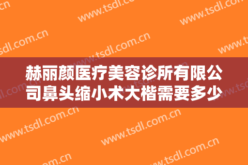 赫丽颜医疗美容诊所有限公司鼻头缩小术大楷需要多少费用?好不好?