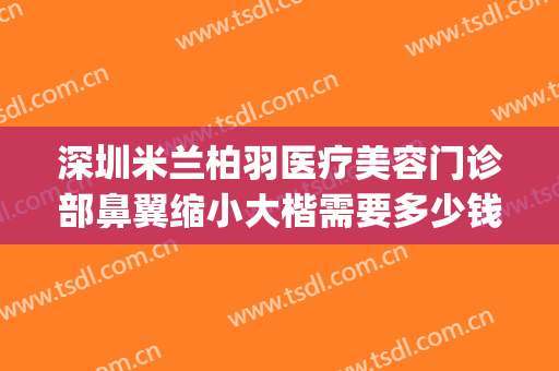 深圳米兰柏羽医疗美容门诊部鼻翼缩小大楷需要多少钱?好不好?(米兰柏羽做鼻子多少钱)