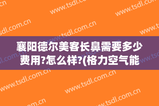 襄阳德尔美客长鼻需要多少费用?怎么样?(格力空气能热泵地暖机)