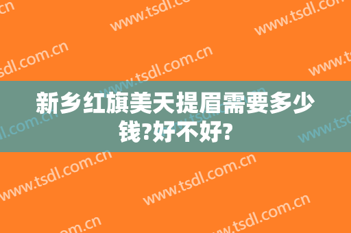 新乡红旗美天提眉需要多少钱?好不好?