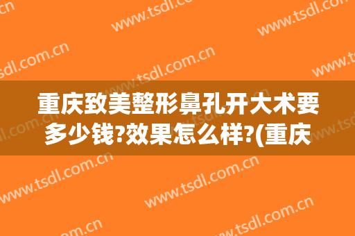重庆致美整形鼻孔开大术要多少钱?效果怎么样?(重庆隆鼻子大概多少费用)