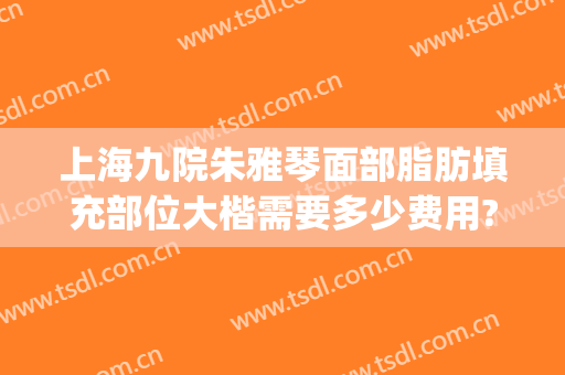 上海九院朱雅琴面部脂肪填充部位大楷需要多少费用?怎么样?(上海九院面部脂肪填充多少钱)