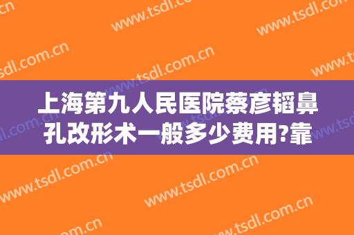上海第九人民医院蔡彦韬鼻孔改形术一般多少费用?靠谱吗?(上海第九人民医院鼻子整形专家)