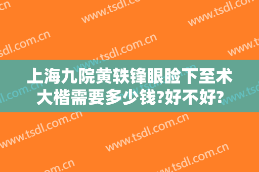 上海九院黄轶锋眼睑下至术大楷需要多少钱?好不好?
