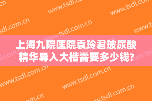 上海九院医院袁玲君玻尿酸精华导入大楷需要多少钱?多长时间恢复?