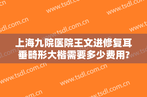 上海九院医院王文进修复耳垂畸形大楷需要多少费用?效果怎么样?