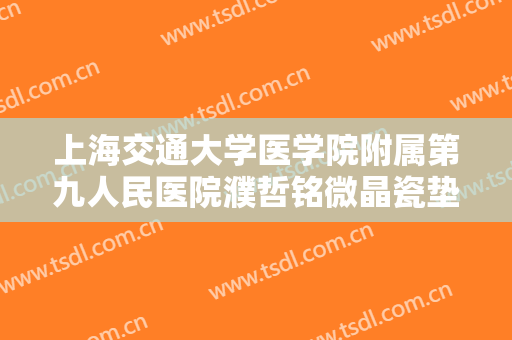 上海交通大学医学院附属第九人民医院濮哲铭微晶瓷垫下巴一般多少钱?好不好?