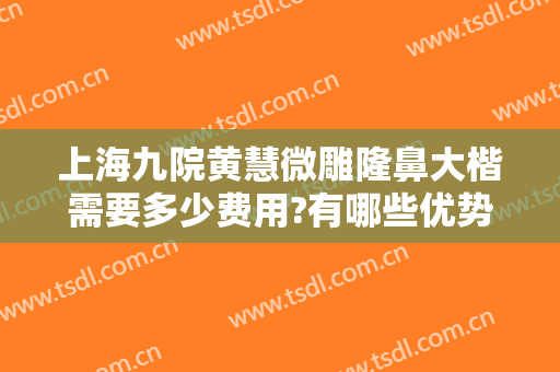 上海九院黄慧微雕隆鼻大楷需要多少费用?有哪些优势?