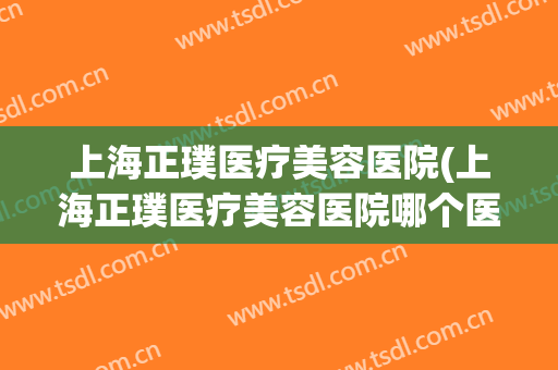 上海正璞医疗美容医院(上海正璞医疗美容医院哪个医生好)