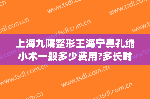 上海九院整形王海宁鼻孔缩小术一般多少费用?多长时间恢复?(上海九院鼻整形案例)